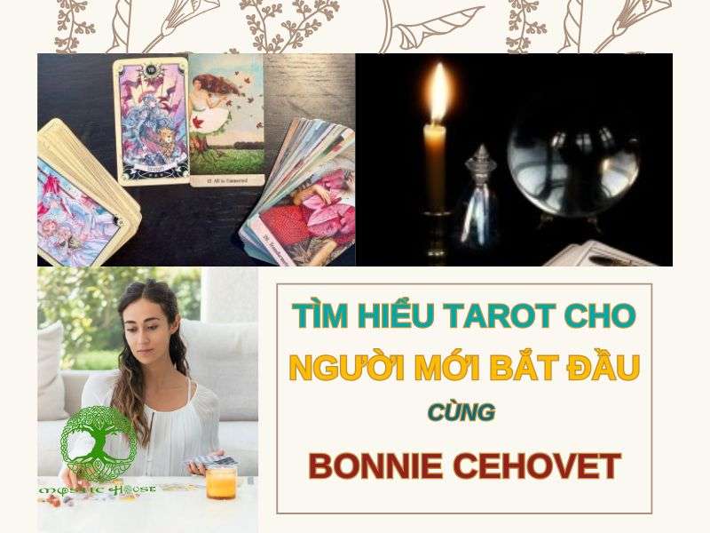 Tarot cho người mới bắt đầu cùng Bonnie Cehovet