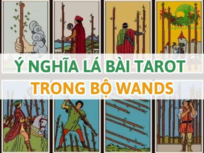 Ý nghĩa lá bài tarot trong bộ wands là gì