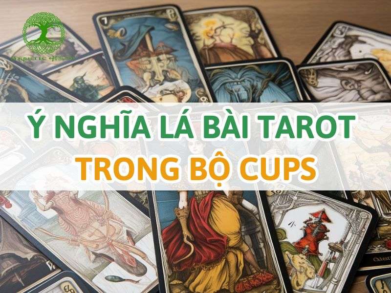 Ý nghĩa lá bài tarot trong bộ cups là gì