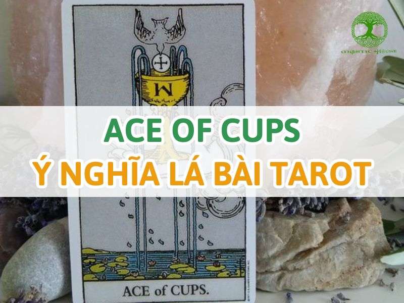 Ace of Cups