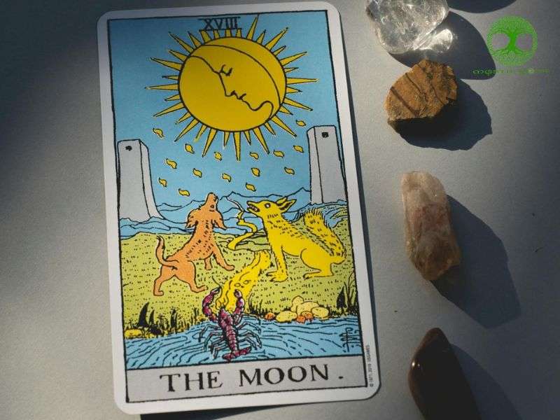 Các biểu tượng trên lá bài the moon