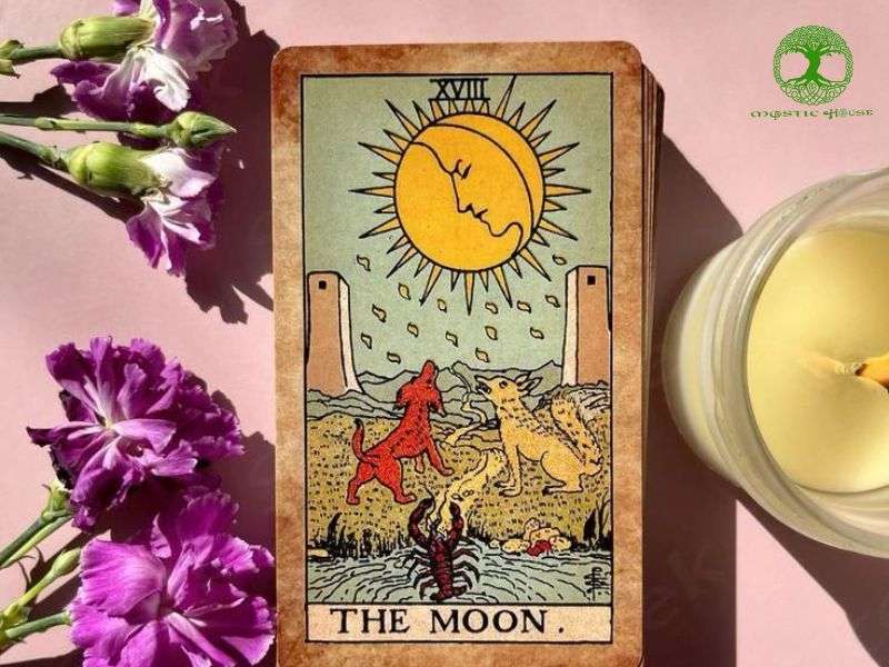 Lá the moon khi xuất hiện ngược