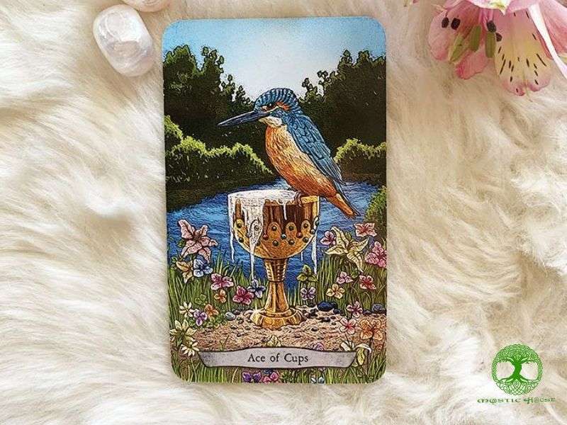 Lá bài ace of cups xuất hiện trong các vị trí khác nhau