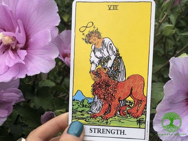 Lá bài Strength (sức mạnh)