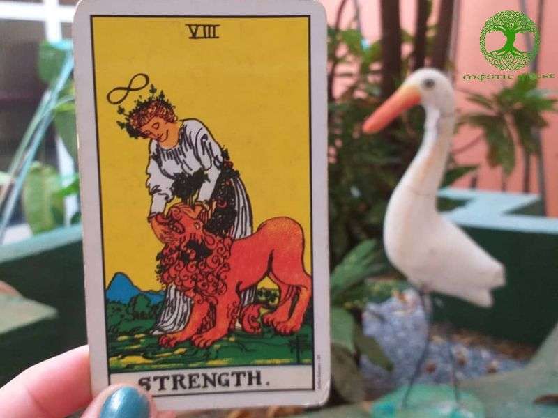 Lá bài Strength (sức mạnh) ngược