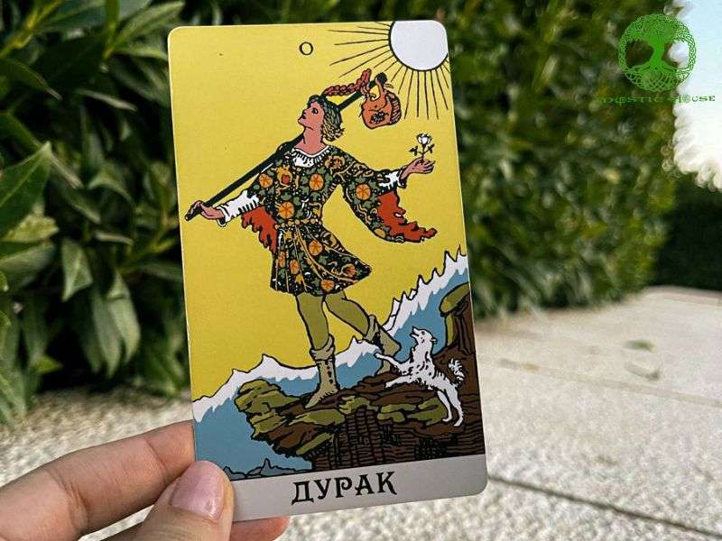 Mô tả hình ảnh lá bài The Fool là gì