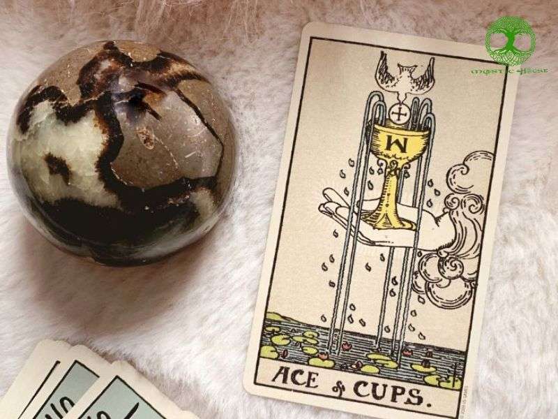 Tổng quan về lá bài ace of cups là gì