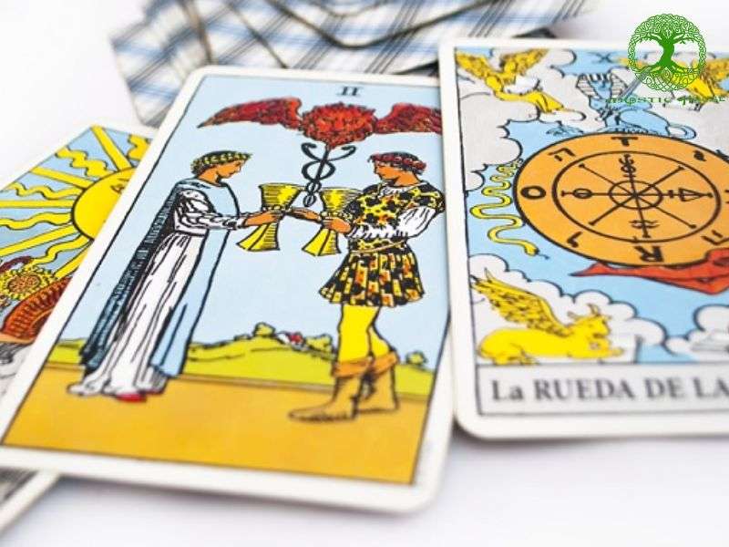 Two of cups cho người độc thân trong tình yêu
