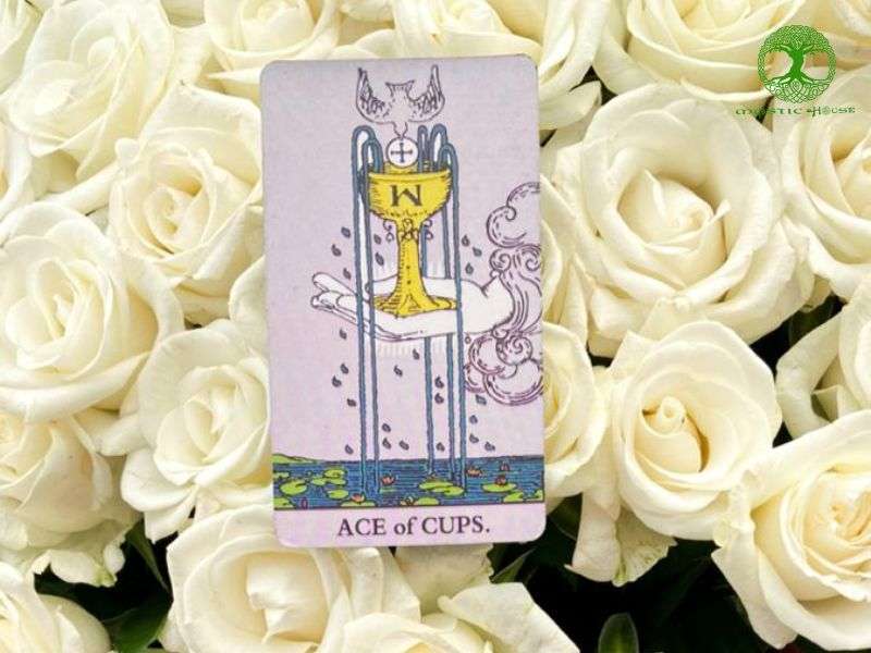 Ý nghĩa chính của lá bài ace of cups 