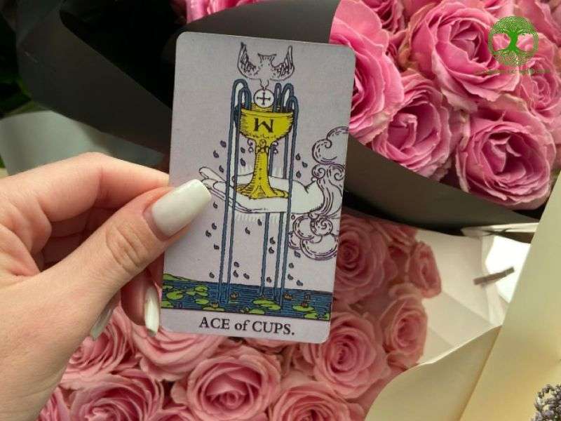Ý nghĩa khi lá bài ace of cups xuất hiện ngược