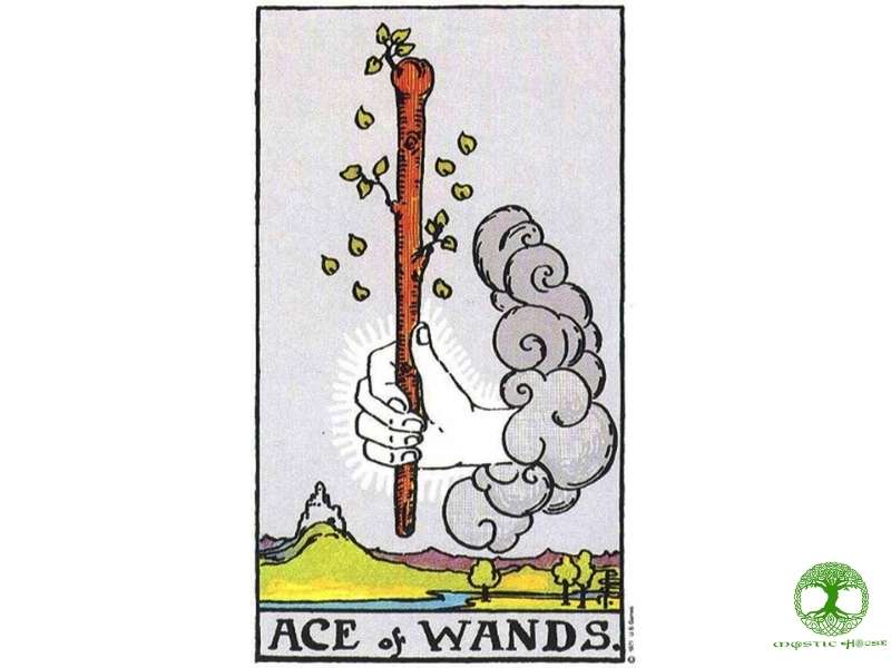 Ace of wands trong tình yêu, công việc và cuộc sống nói gì?