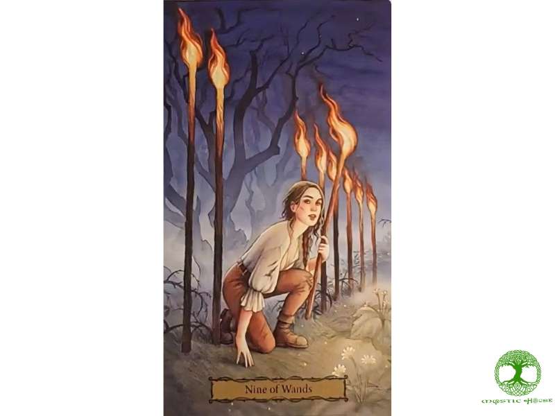 Khi rút được nine of wands cần lưu ý điều gì?