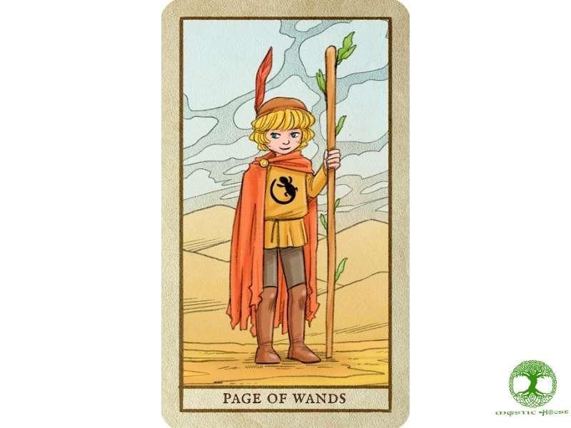 Lá bài page of wands ngược có ý nghĩa gì?