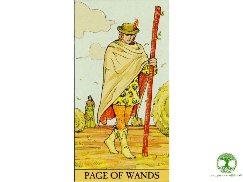 Lá bài page of wands xuôi có ý nghĩa gì?