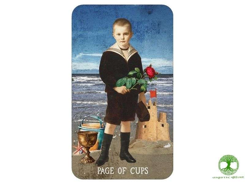 Page of cups tiết lộ gì về tình yêu và cảm xúc