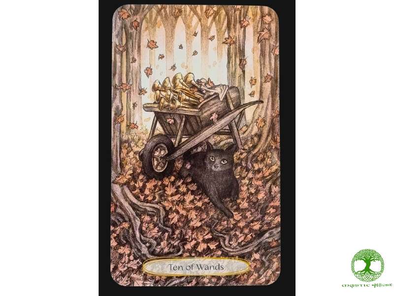 Ten of wands trong công việc và sự nghiệp có ý nghĩa gì?