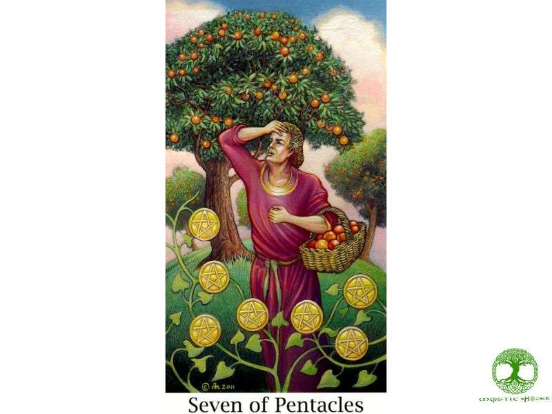 Cách phân biệt seven of pentacles với các lá bài dễ nhầm lẫn
