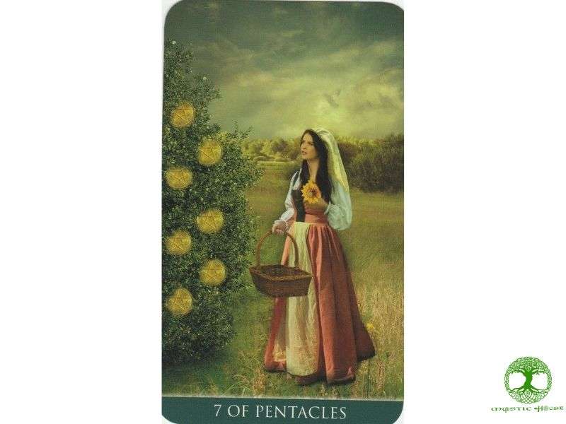 Nên hành động thế nào khi rút được lá seven of pentacles?