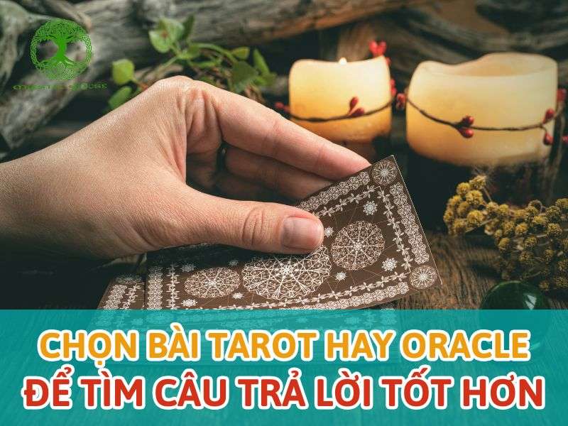 Chọn bài tarot hay oracle để tìm câu trả lời tốt hơn.
