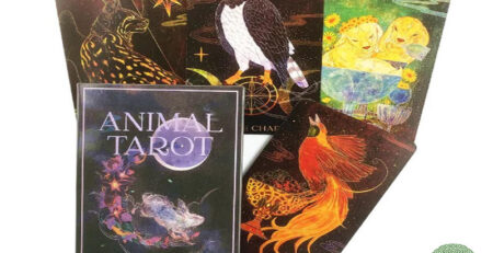 Animal Divine Tarot – Kết Nối Tâm Linh Con Người Với Thiên Nhiên