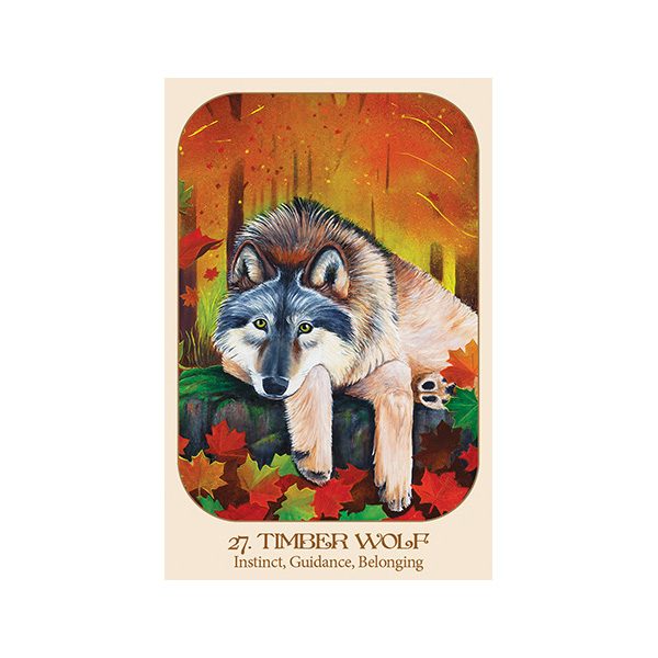 Animal Voices Oracle Connecting with Our Endangered Friends Cards 1