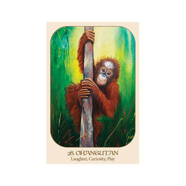 Animal Voices Oracle Connecting with Our Endangered Friends Cards 2