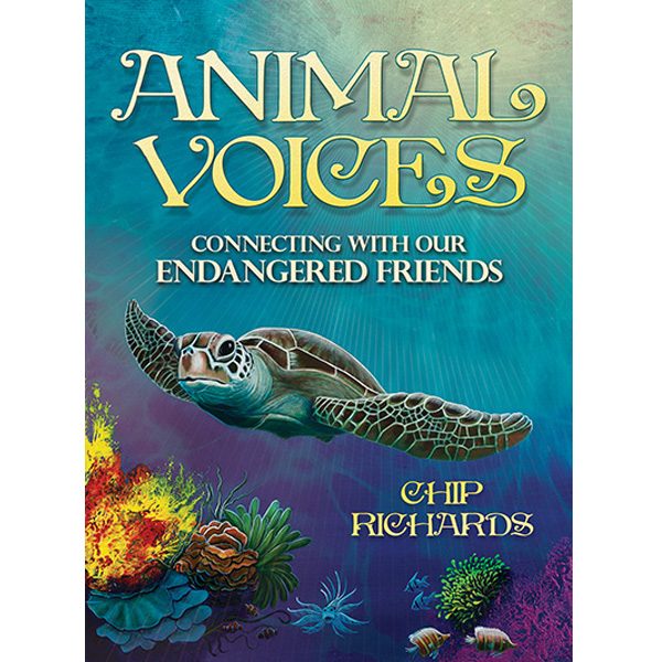 Animal Voices Oracle Connecting with Our Endangered Friends Cards