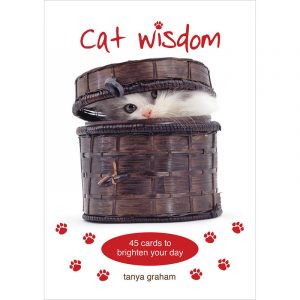 Cat Wisdom Cards 9