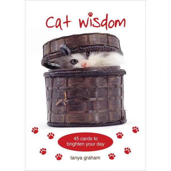 Cat Wisdom Cards 1
