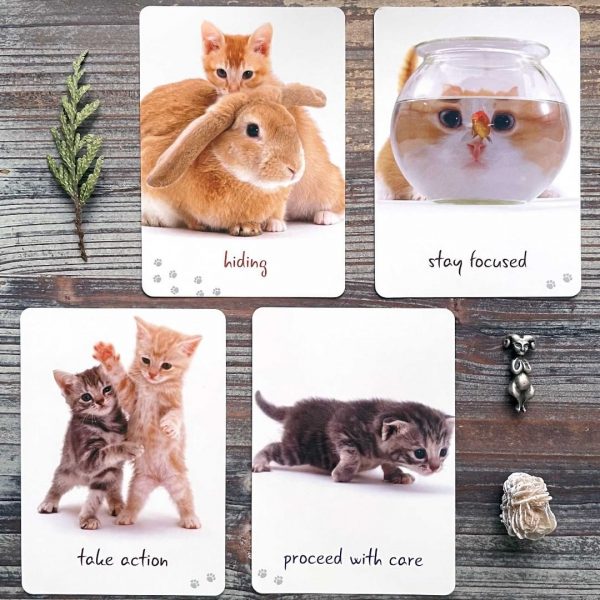 Cat Wisdom Cards 10