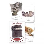 Cat Wisdom Cards 8