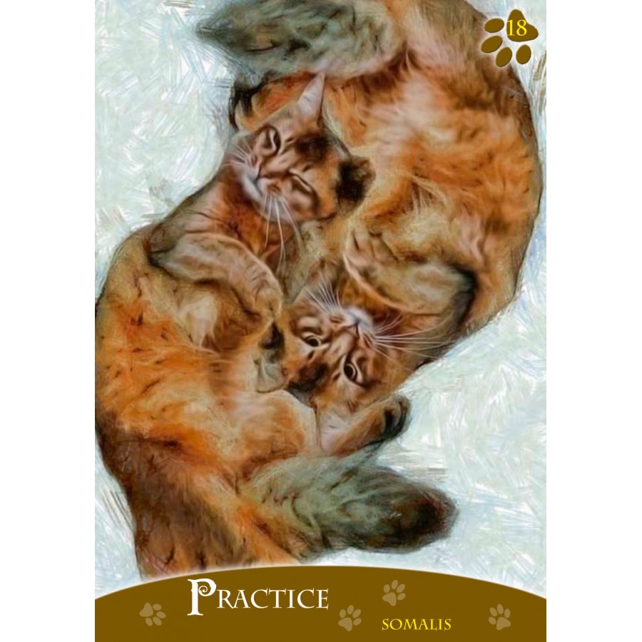 Cats Inspirational Oracle Cards 3