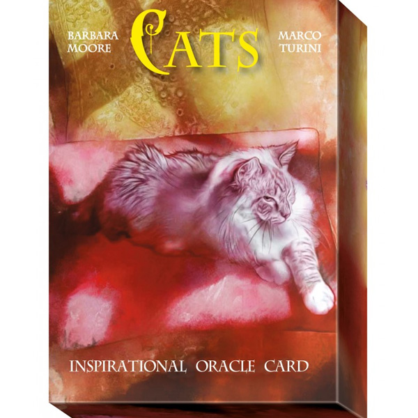 Cats Inspirational Oracle Cards 7