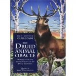 Druid Plant Oracle 2