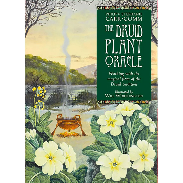 Druid Plant Oracle 38