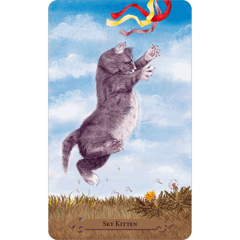 Mystical Cats Tarot 1