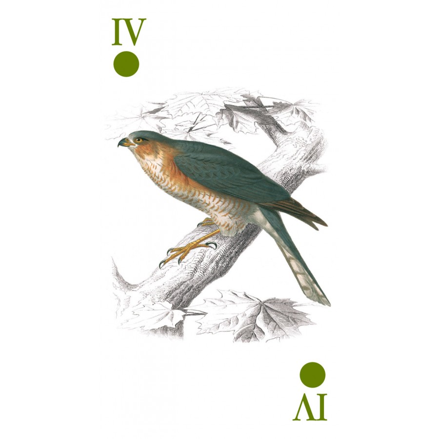 Reincarnation Tarot 6