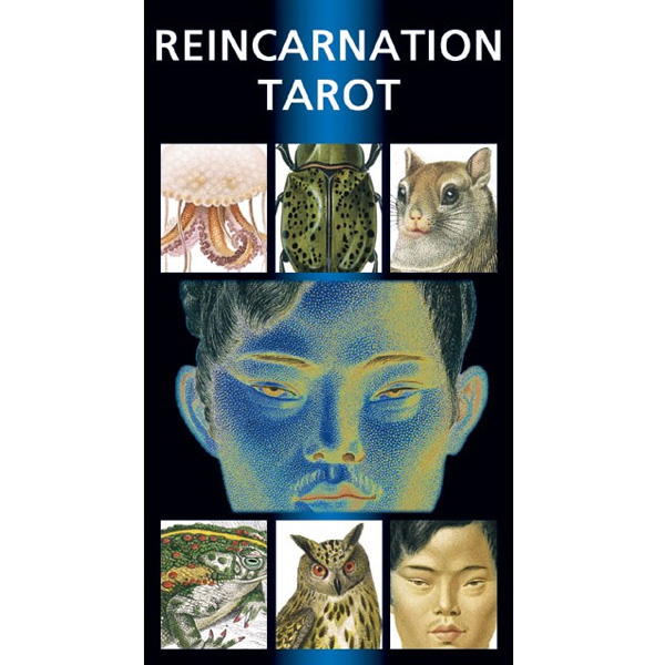 Reincarnation Tarot 3