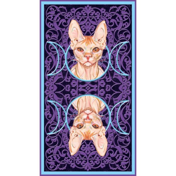 Tarot of Pagan Cats 12