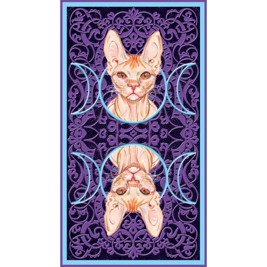 Tarot of Pagan Cats 12