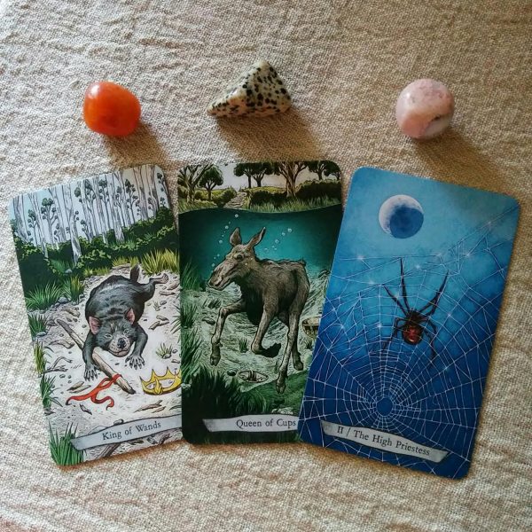 animal-totem-tarot-4