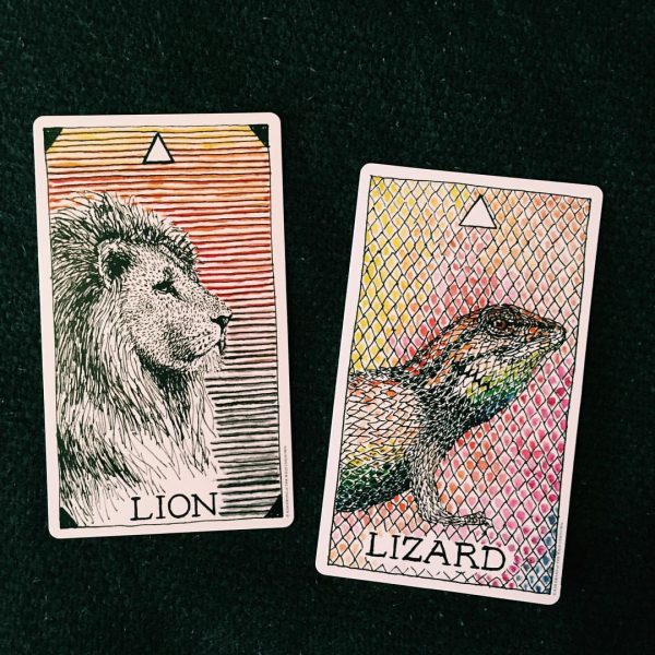 Animal Spirit Deck 1