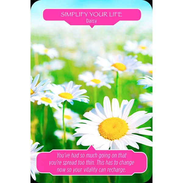 flower-therapy-oracle-cards-2