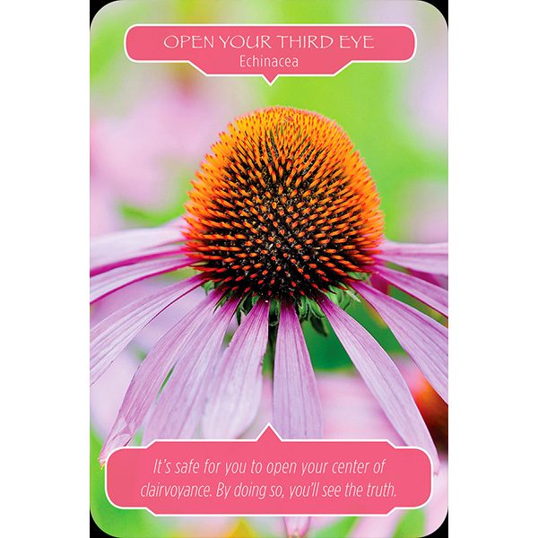 flower-therapy-oracle-cards-4