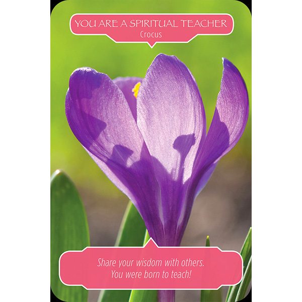 flower-therapy-oracle-cards-5
