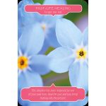 flower-therapy-oracle-cards-6