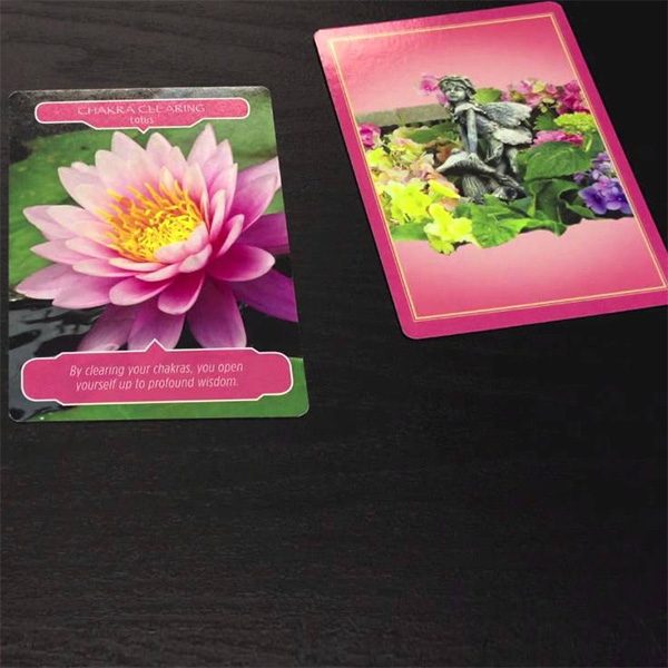 flower-therapy-oracle-cards-7