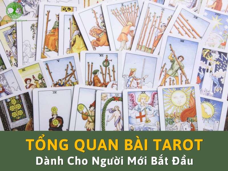 Tổng quan bài tarot dành cho người mới