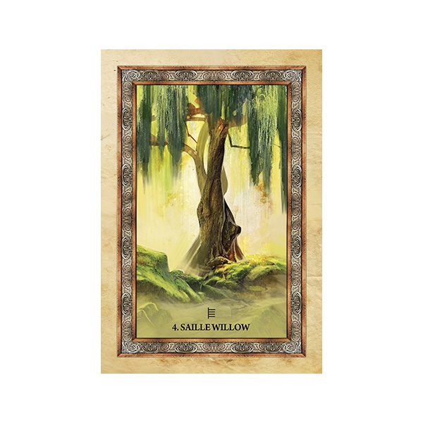 Celtic Tree Oracle 3