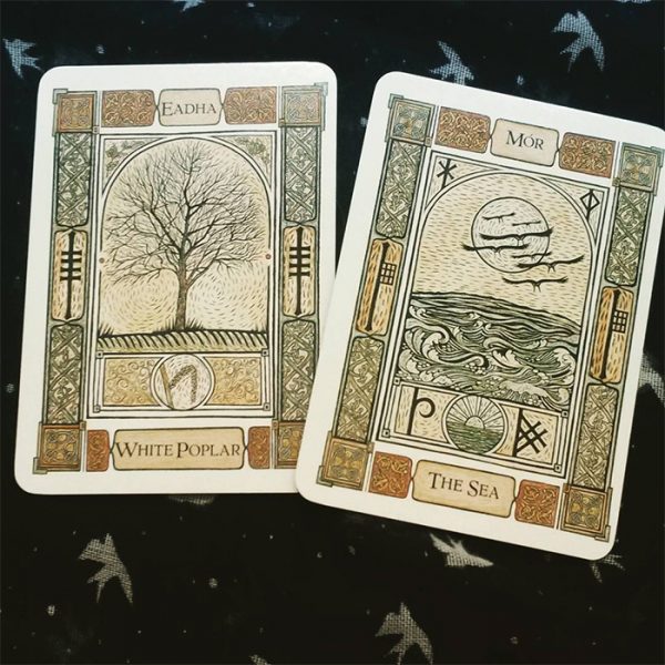 Celtic Tree Oracle – A System of Divination 6